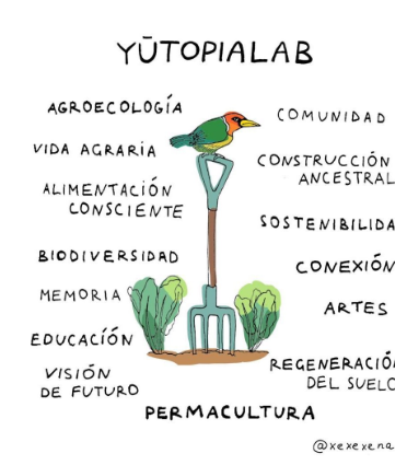 profile